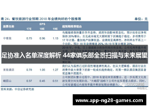 足协准入名单深度解析 44家俱乐部全景扫描与未来展望